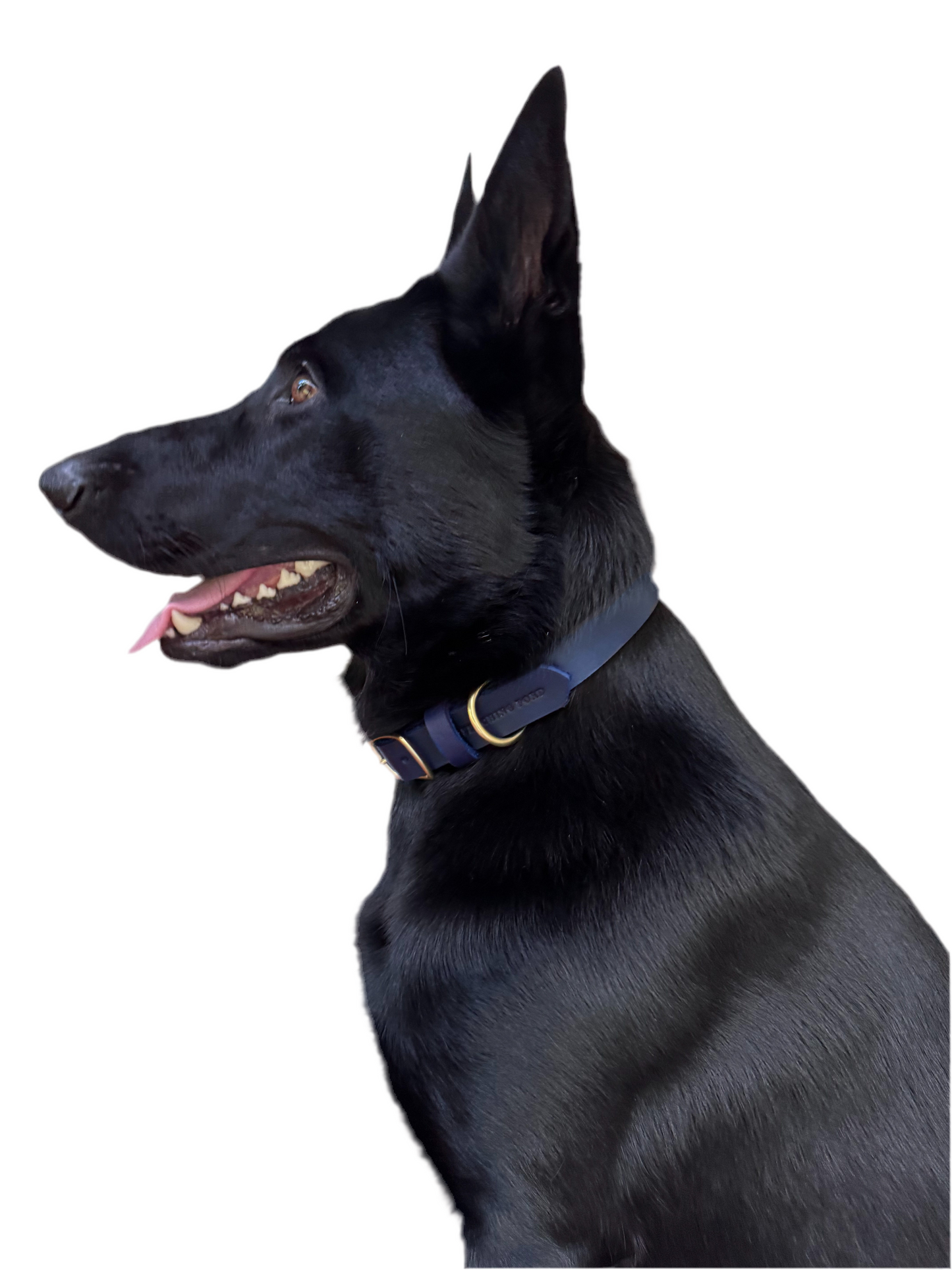 Classic Leather Dog Collar - Navy Blue