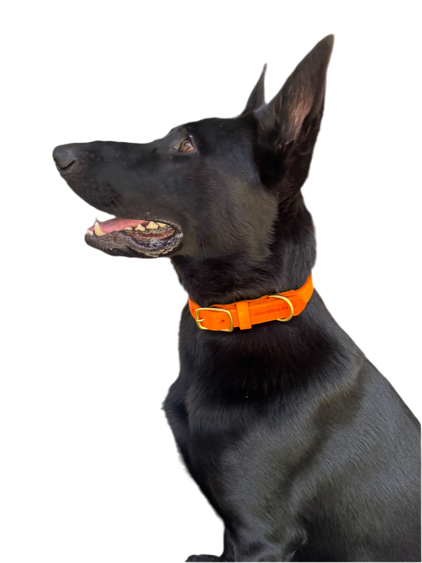 Classic Leather Dog Collar - Mango
