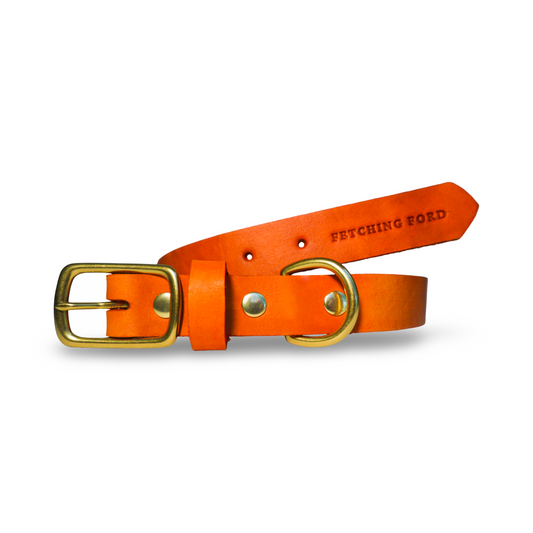 Classic Leather Dog Collar - Mango