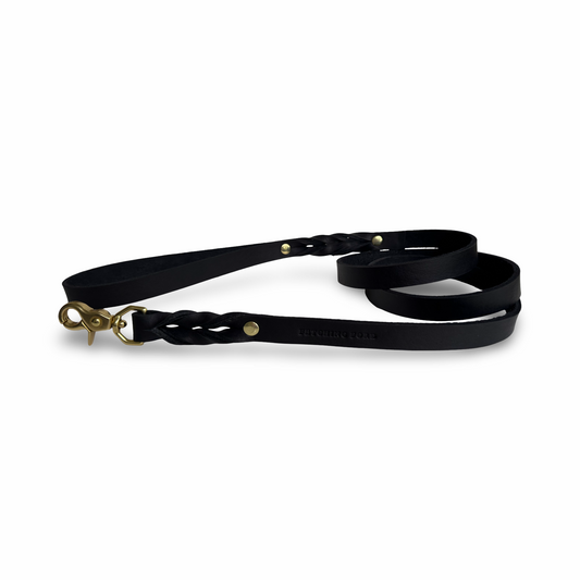 Black dog leash with gold clasp on a white background