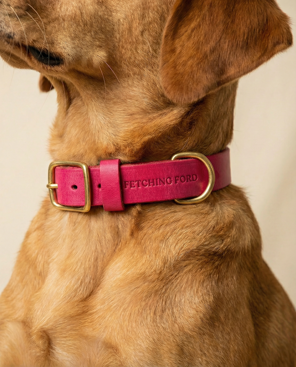 Classic Leather Dog Collar - Hot Pink