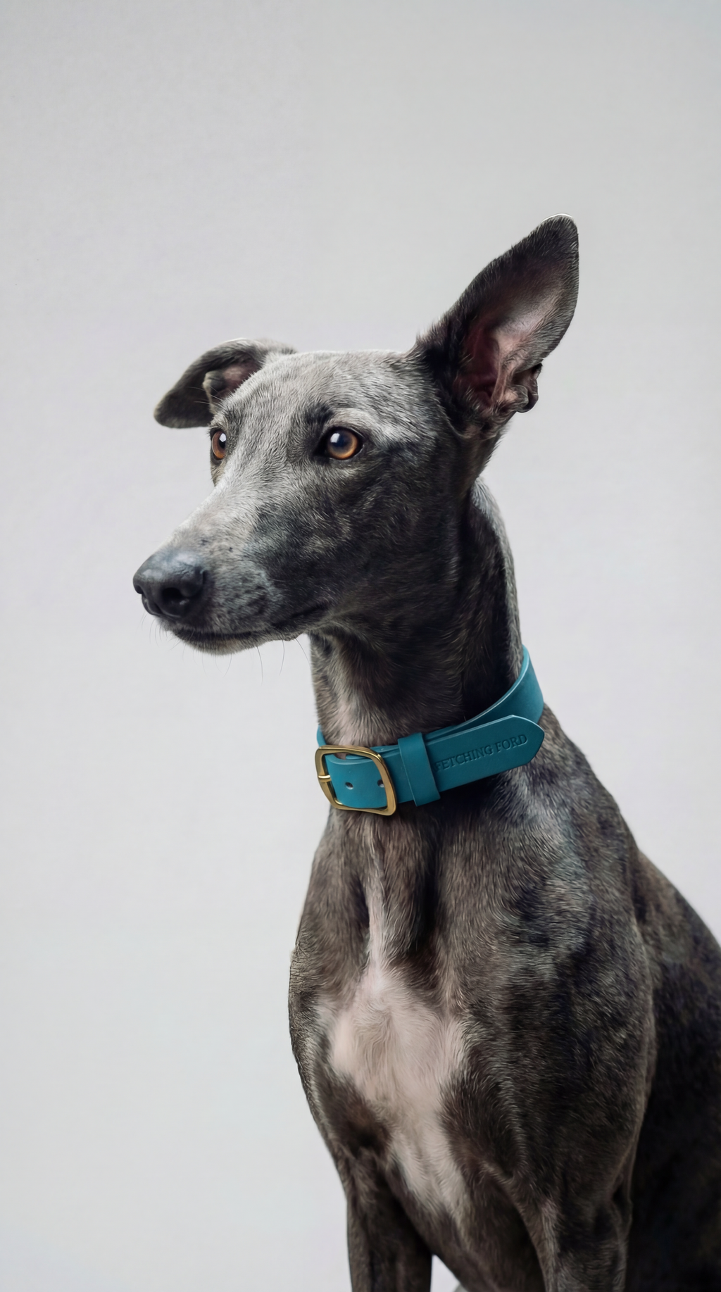 Classic Leather Dog Collar - Turquoise