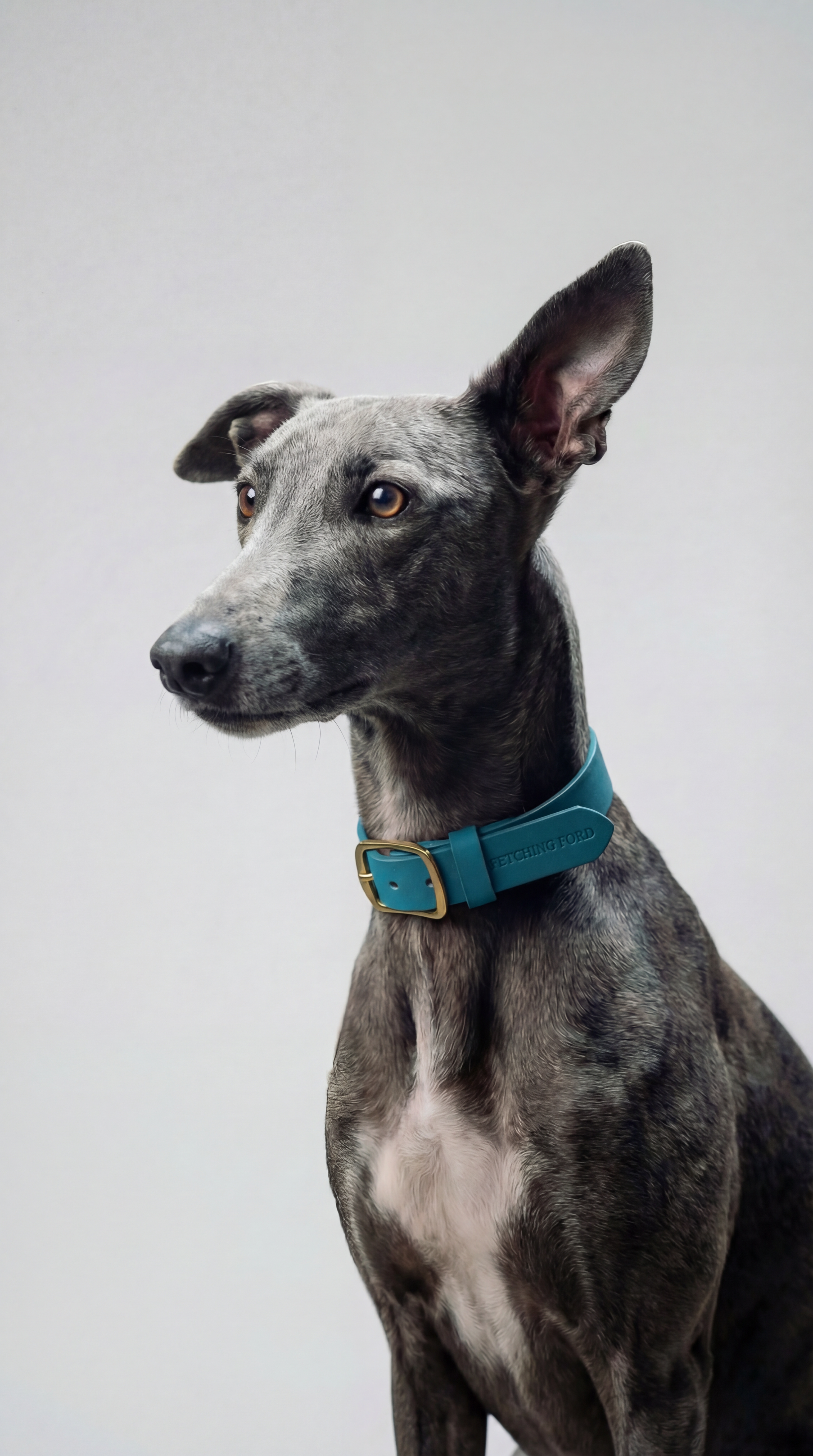 Classic Leather Dog Collar - Turquoise